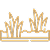 insignia podium